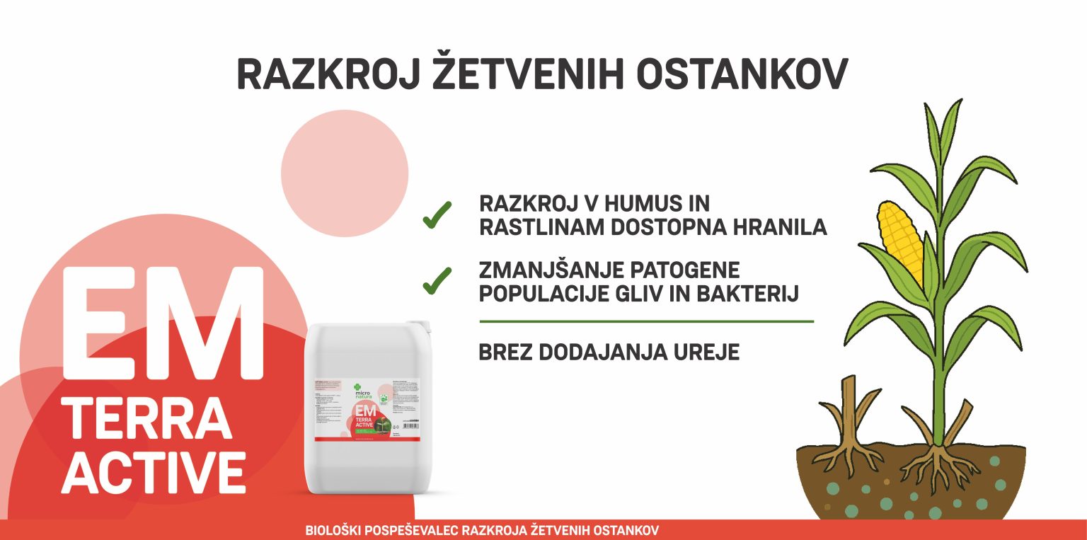 razkroj zetvenih ostankov